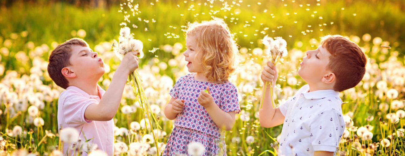 Two kids boys and little baby girl blowing on a dandelion flowers on the nature in the summer. Happy healthy toddler and school children with blowballs, having fun. Family of three love, together Two kids boys and little baby girl blowing on a dandelion flowers on the nature in the summer. Happy healthy toddler and school children with blowballs, having fun. Family of three love, together.